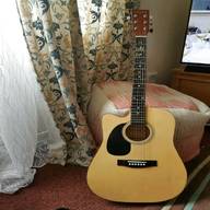 chantry acoustic guitar for sale