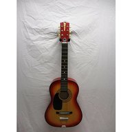 encore acoustic guitar for sale