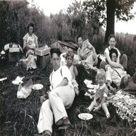 vintage picnic for sale