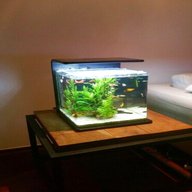 small aquarium for sale
