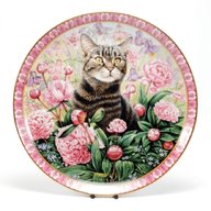 cat plates for sale