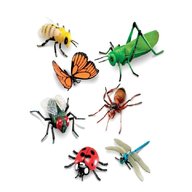 insects for sale