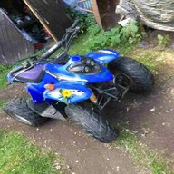 panther quad for sale