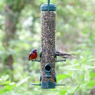 outdoor bird feeders for sale