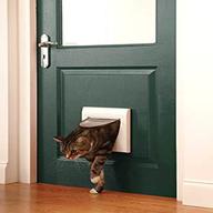 cat flap door for sale
