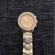 fossil shell for sale