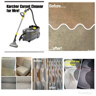professional steam cleaner for sale