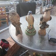 birds of prey for sale