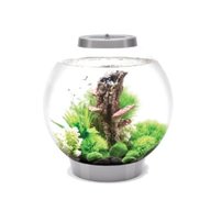 biorb 30 litre fish tank for sale