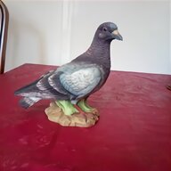pigeon ornament for sale