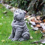 shar pei puppies for sale