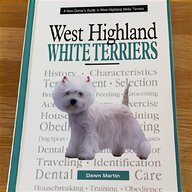 west highland white terrier for sale
