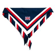 scout scarf for sale