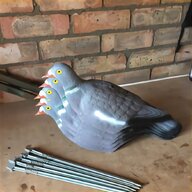 flocked pigeon decoys for sale