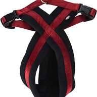 trixie dog harness for sale