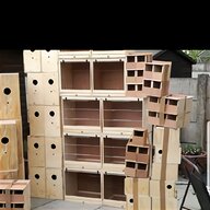 double terrier boxes for sale
