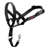 head harness for sale
