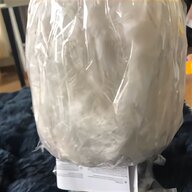ostrich feather for sale