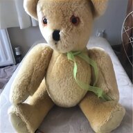 canterbury bears for sale