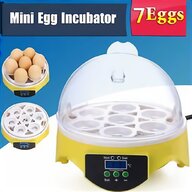 egg incubators for sale