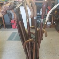 greyhound cane for sale
