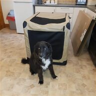 dog car crates for sale