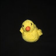 duckling for sale