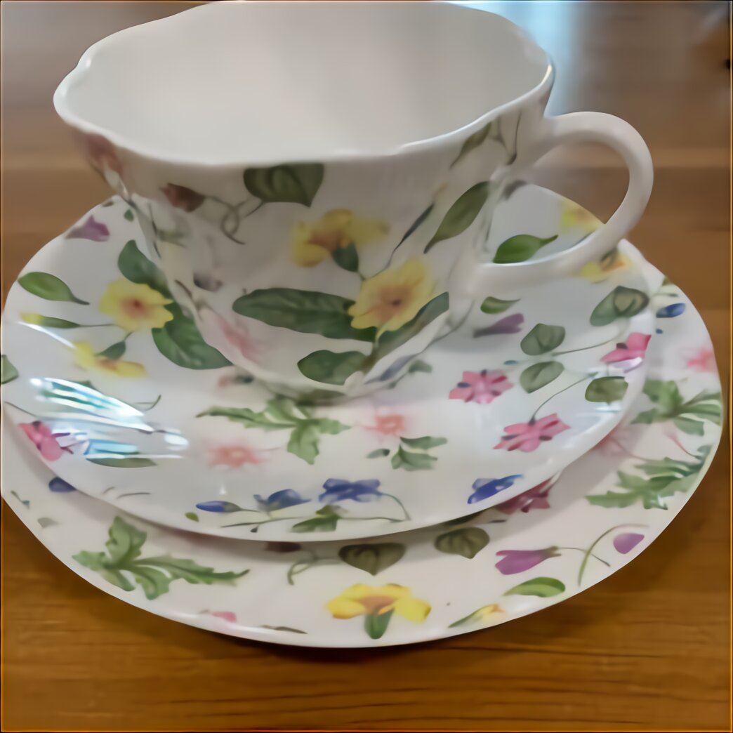 Vintage Queens Fine Bone China "Country Meadow" Trio Cup Saucer & Side Plate. 