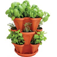 strawberry planter for sale