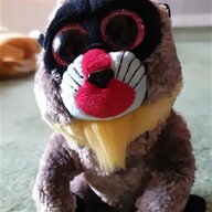 raccoon soft toy for sale
