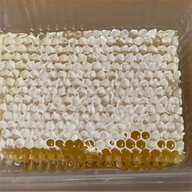 bee apiary for sale