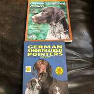 german shorthaired pointer for sale