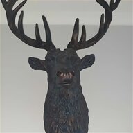 mounted deer head for sale