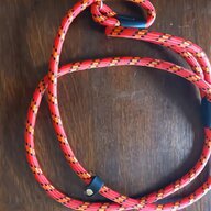 long dog leads for sale