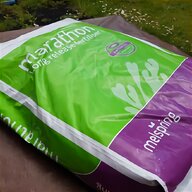 grass seed 20kg for sale
