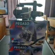 pegaso for sale
