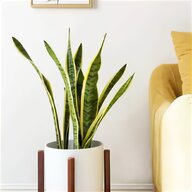 indoor plant stands for sale