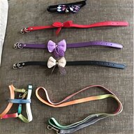terrier collar for sale