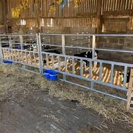 sheep feed barriers for sale