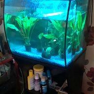 corner aquarium fish tank for sale