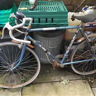 raleigh budgie for sale