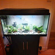 8ft fish tank for sale