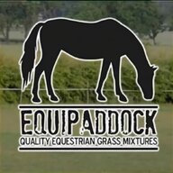 pasture seed for sale