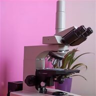 nikon microscope for sale