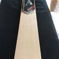 cricket bat willow for sale