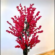 japanese cherry blossom for sale