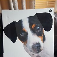 dog paintings jack russell for sale