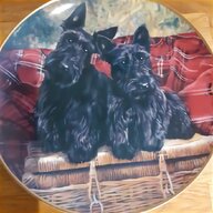 scottish terrier plate for sale