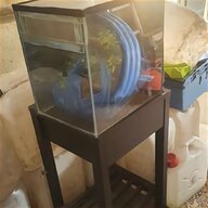 stick insect tank for sale