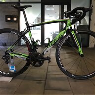 wilier for sale